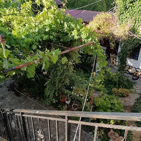 Apartmán Tarra Studio16 Mangalia