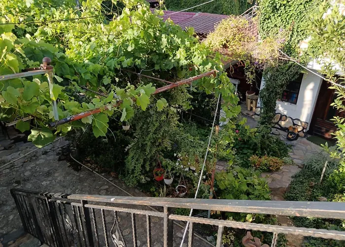 Appartamento Tarra Studio16 Mangalia